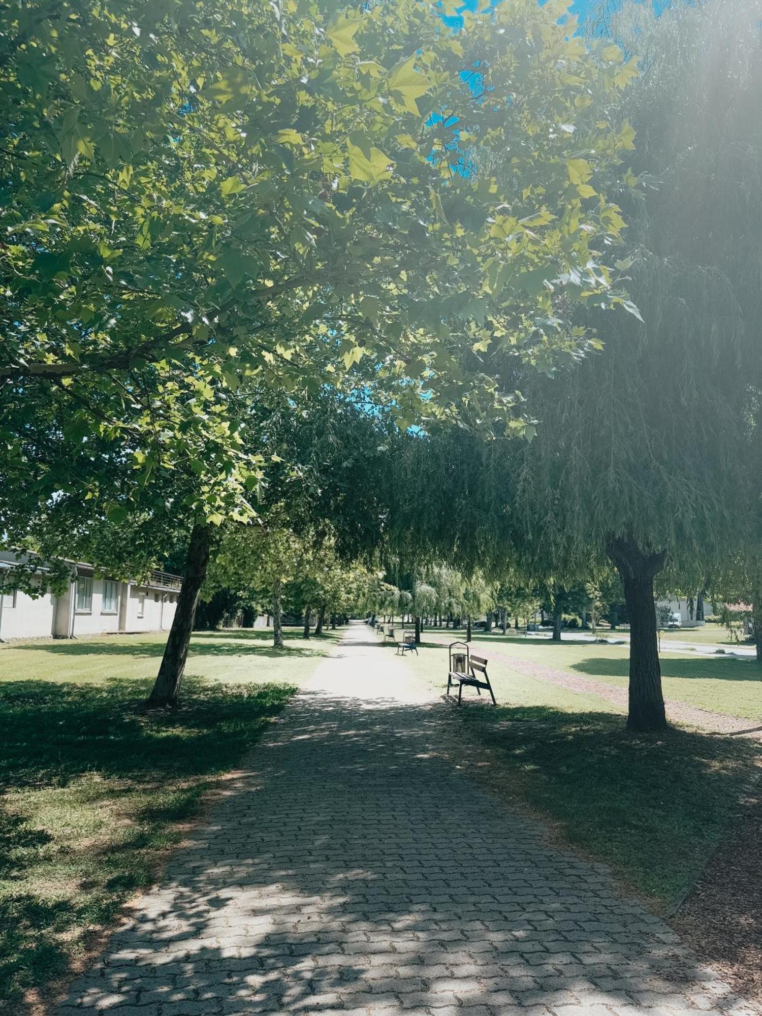 Sobri Halászcsárda és Panzió Baja Exterior foto